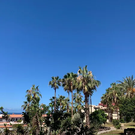 Estudio Miraverde, Adeje Costa Adeje (Tenerife)